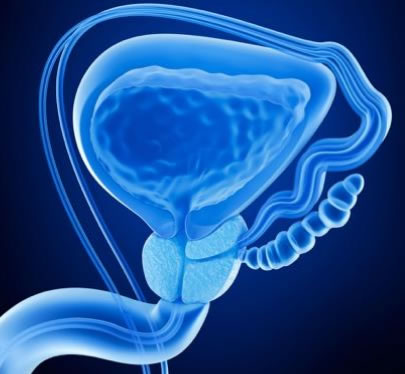 L’ipertrofia prostatica benigna (IPB) - urologo Firenze
