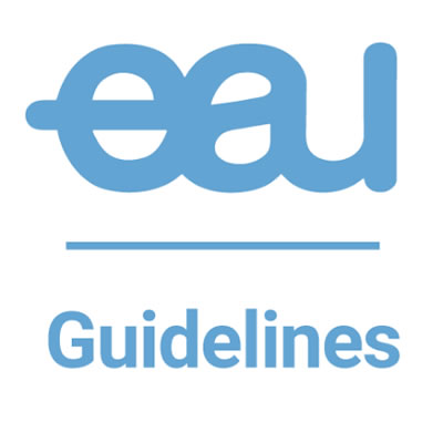 Il prof. Mauro Gacci eletto membro dell’EAU GUIDELINES OFFICE